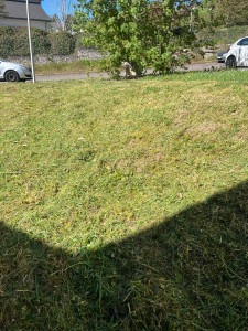 Photo de galerie - Débroussaillage effectué 