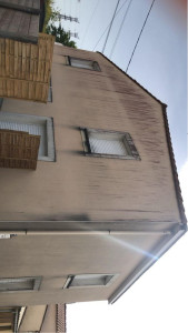 Photo de galerie - Avant le traitement 