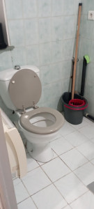 Photo de galerie - Nettoyage des toilettes 