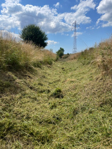 Photo de galerie - Debrousaillage 