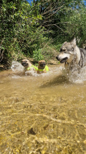 Photo de galerie - .