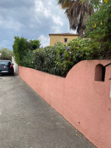 Photo de galerie - Taille de haies et d'arbustes