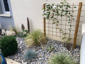 Photo de galerie - Réalisation d’un parterre avec un support pour plantes grimpantes 