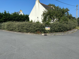 Photo de galerie - Avant 