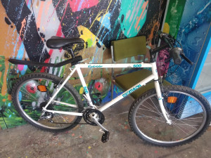 Photo de galerie - VTT remis en état