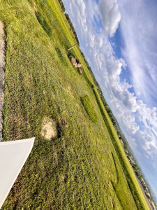 Photo de galerie - Tonte pelouse raisonnée 