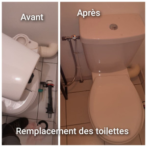 Photo de galerie - Remplacement des WC