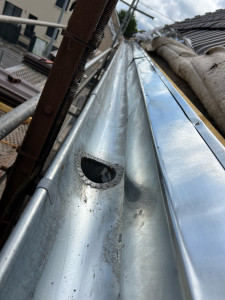 Photo de galerie - Couverture - Toiture