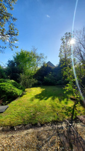 Photo de galerie - Paysagiste - Aménagement du jardin