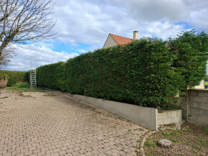 Photo de galerie - Rabattage 