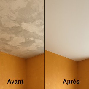 Photo de galerie - Avant et après 