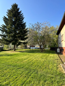 Photo de galerie - Tonte de Pelouse 