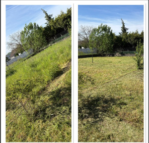 Photo de galerie - Tonte et débroussaillage avant après