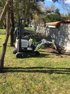 Photo de galerie - Service mini pelle ,arrachage d arbre ,haies,tranchées etc