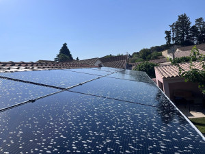 Photo de galerie - Nettoyage de panneaux solaire (Maison plain pied uniquement)