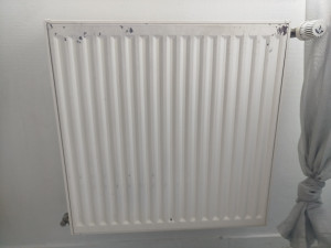 Photo de galerie - Entretiens radiateur a eau 