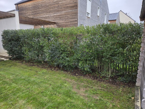 Photo de galerie - Voici une taille de haie 5 mettre lineaire