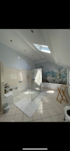 Photo de galerie - Rénovation d’une salle de bain 