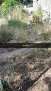 Photo de galerie - Débroussaillage et nettoyage des pavés 