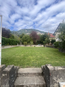 Photo de galerie - Tonte 