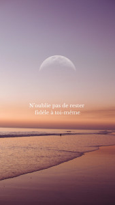 Photo de galerie - Image 