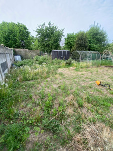 Photo de galerie - Entretien de terrain. Avant mon passage!