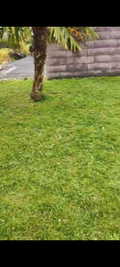 Photo de galerie - Réalisez cela samedi 