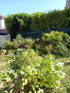 Photo de galerie - Jardinier