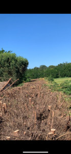 Photo de galerie - Finie rabaisser 