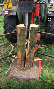 Photo de galerie - Elagage et coupe d'arbres