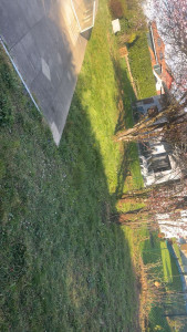 Photo de galerie - Nous avions tout rabattu à ras pour pouvoir crée une clôture 