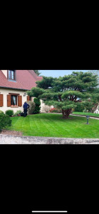 Photo de galerie - Tonte de pelouse 