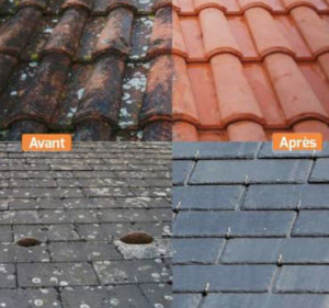 Photo de galerie - Traitement anti-mousse 
