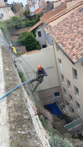 Photo de galerie - Elagage et coupe d'arbres