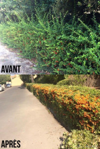 Photo de galerie - ?