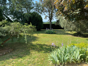 Photo de galerie - Tonte des jardins