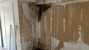 Photo de galerie - AVANT 