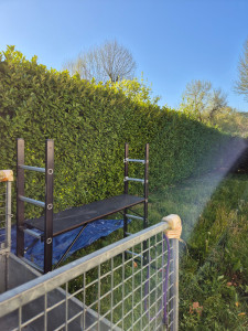 Photo de galerie - Taille de haies et d'arbustes