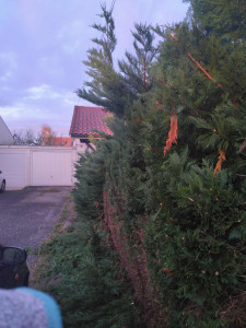 Photo de galerie - Paysagiste - Aménagement du jardin