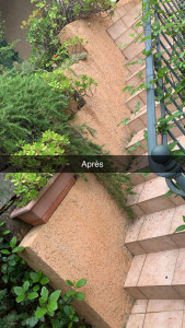 Photo de galerie -  après traitement avec dAlep 2100