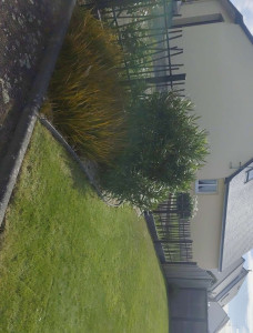 Photo de galerie - Pause clôture rigide 