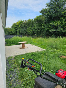 Photo de galerie - Tonte de pelouse - Débroussaillage