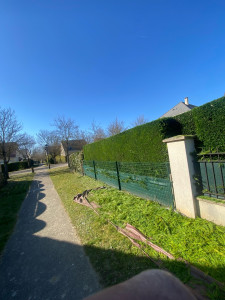Photo de galerie - Tailles de haie 