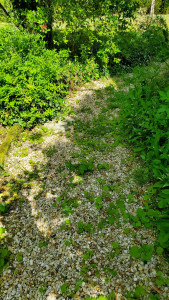 Photo de galerie - Jardinier