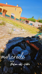 Photo de galerie - Débroussaillage