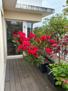 Photo de galerie - Jardinier