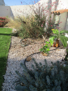 Photo de galerie - Creation jardin st aunés