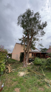 Photo de galerie - ABATTAGE 