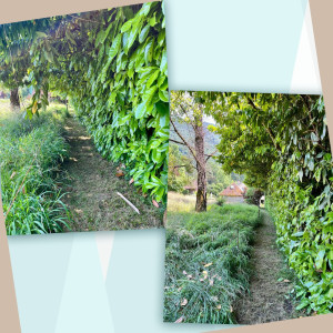 Photo de galerie - Paysagiste - Aménagement du jardin