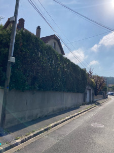 Photo de galerie - Taille de haies 